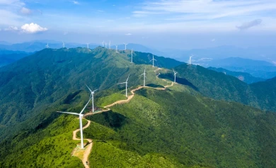 Green Energy and Automation Sustainable Development Trends in Vietnam